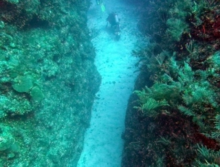 Maravilloso buceo